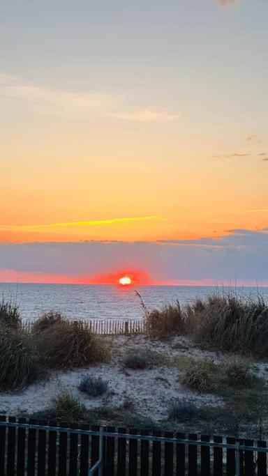 Appartement 2 A 4 Personnes A 50M De La Plage 拉卡诺 外观 照片
