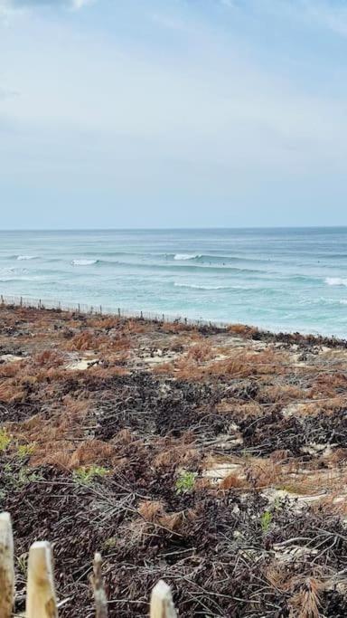 Appartement 2 A 4 Personnes A 50M De La Plage 拉卡诺 外观 照片